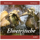 Elwetritsche