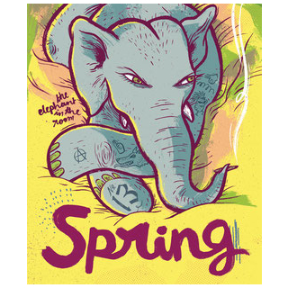 Spring 13 - The Elephant in the Room