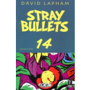 Stray Bullets 14